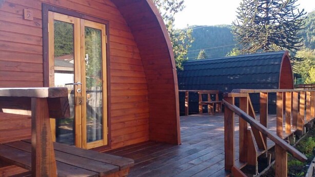 Une cabane en bois avec un toit incurvé, une terrasse en bois et une porte en verre.