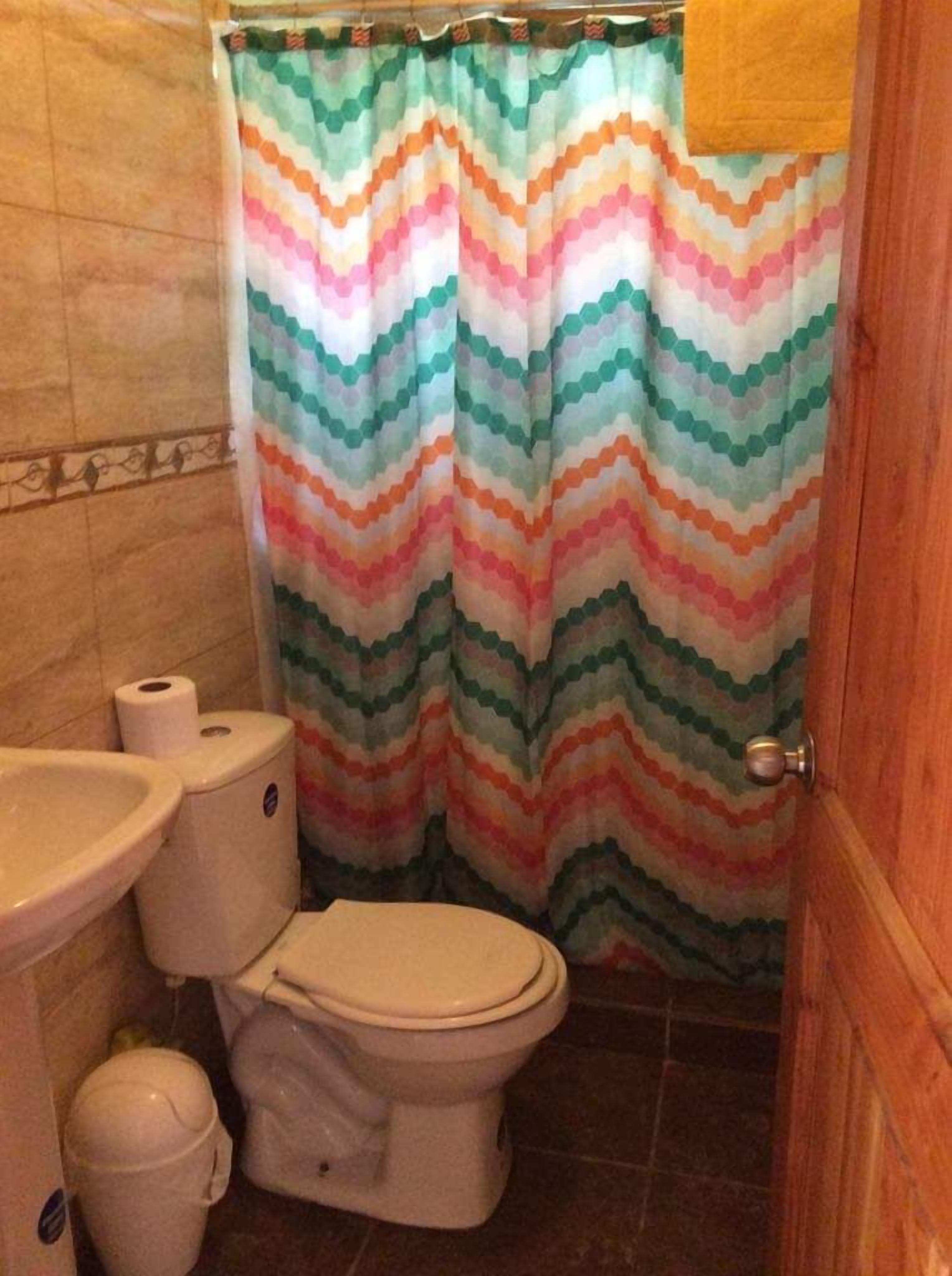 A bathroom with a toilet, sink, and shower curtain.