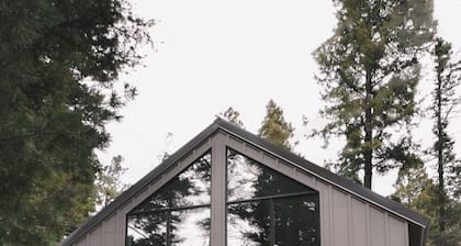 Designer Cabin in Taos Ski Valley