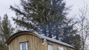 A wooden cabin with a small fire pit in front. - Shepherds Hut in Dark Sky Reserve

 (Gwynfe)