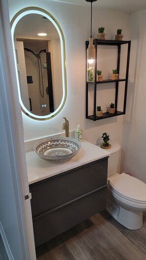 Regadera, secadora de cabello, toallas, jabón 