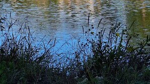 A lakeside view with a building, a dock, and a grassy area. - Cozy Cabin by the Lake (Tyler)