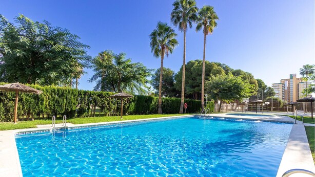 A swimming pool surrounded by palm trees and greenery, with a clear blue sky. - Nice apartment in Campello with WiFi (Campello)
