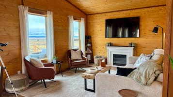 Smart TV, fireplace, books