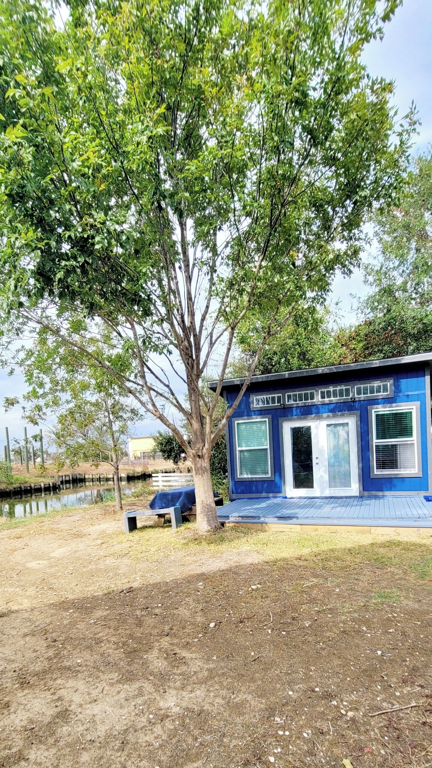 A blue house with a large tree in front.