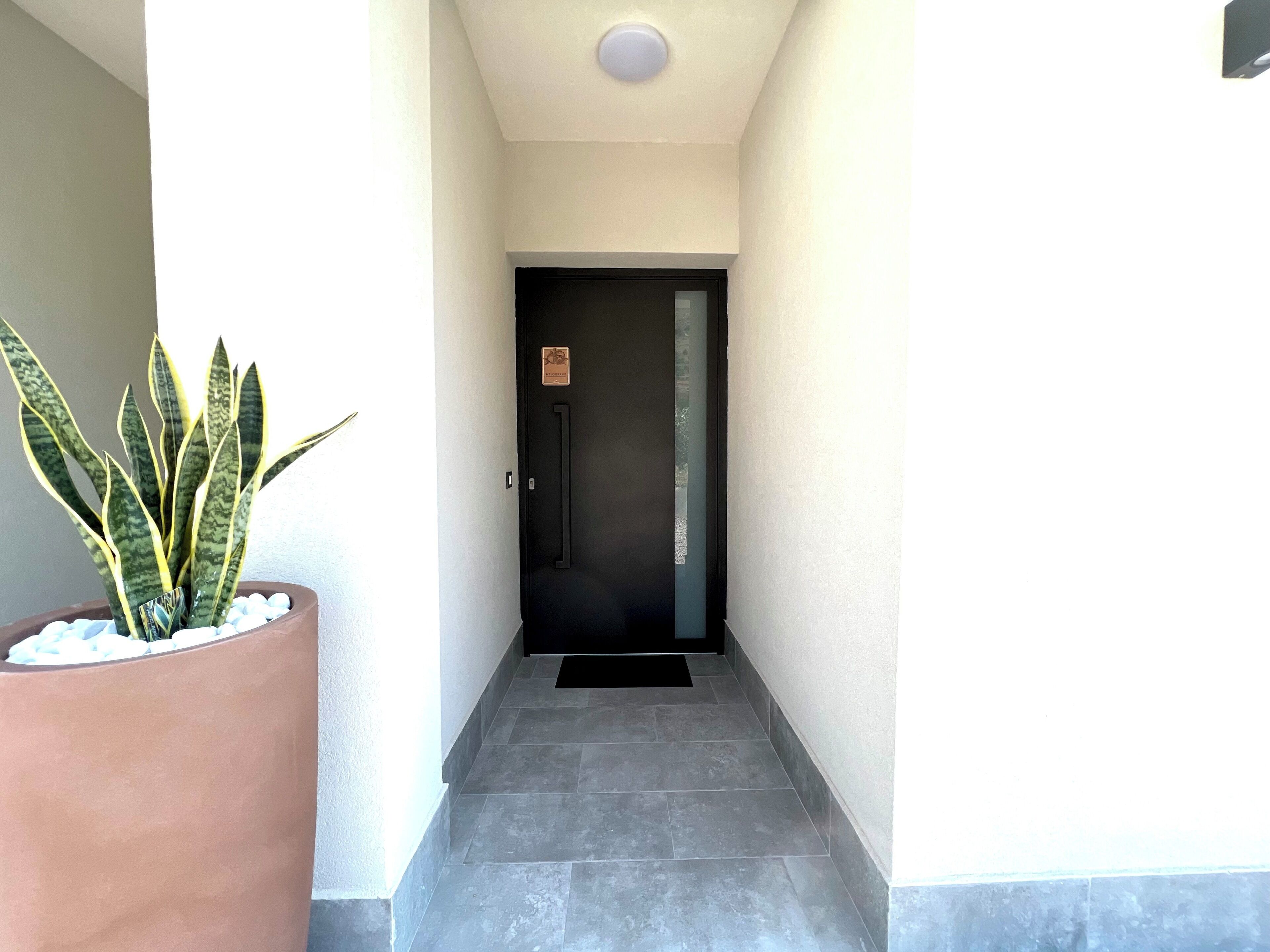 A hallway with a potted plant, a black door, and a tiled floor.