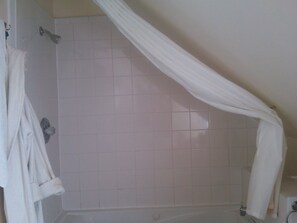 Shower, jetted tub, hair dryer, towels - Charming 3-bedroom house in Ludlow with WiFi access (Ludlow)