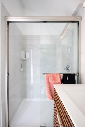 Regadera, secadora de cabello, bidet, toallas