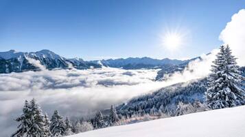 Apartment | View from property