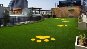 Un toit-terrasse recouvert de gazon synthétique, une clôture en métal et des bâtiments en arrière-plan.