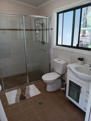 Asciugacapelli, asciugamani, sapone, shampoo