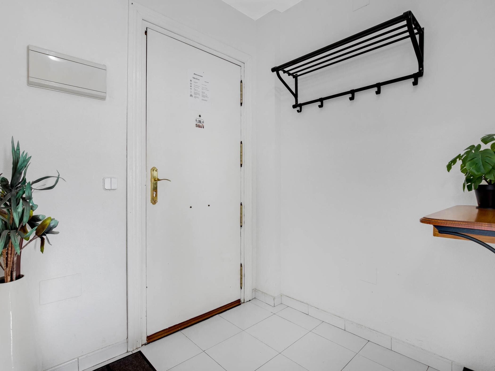 Een witte deur met een messing handvat, een kleine plant in een pot, een zwart metalen rek aan de muur en een houten plank met een plant.