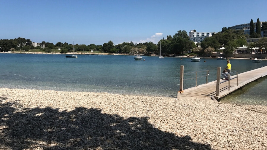 Graceful Apartment in Nature