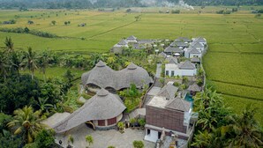A resort with traditional thatched-roof structures, surrounded by lush green fields and palm trees. - E Sanctuary Resort Ubud (Ubud)