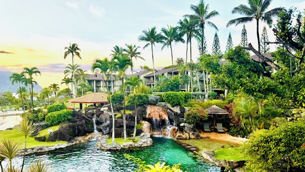 Een resort met een zwembad, palmbomen en een waterval.