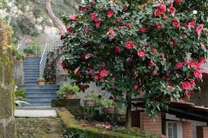 A garden with a staircase leading to a building, surrounded by lush greenery and flowering plants. - Sea view Rooftop Apartment with Jacuzzi & Garden (Sorrento)