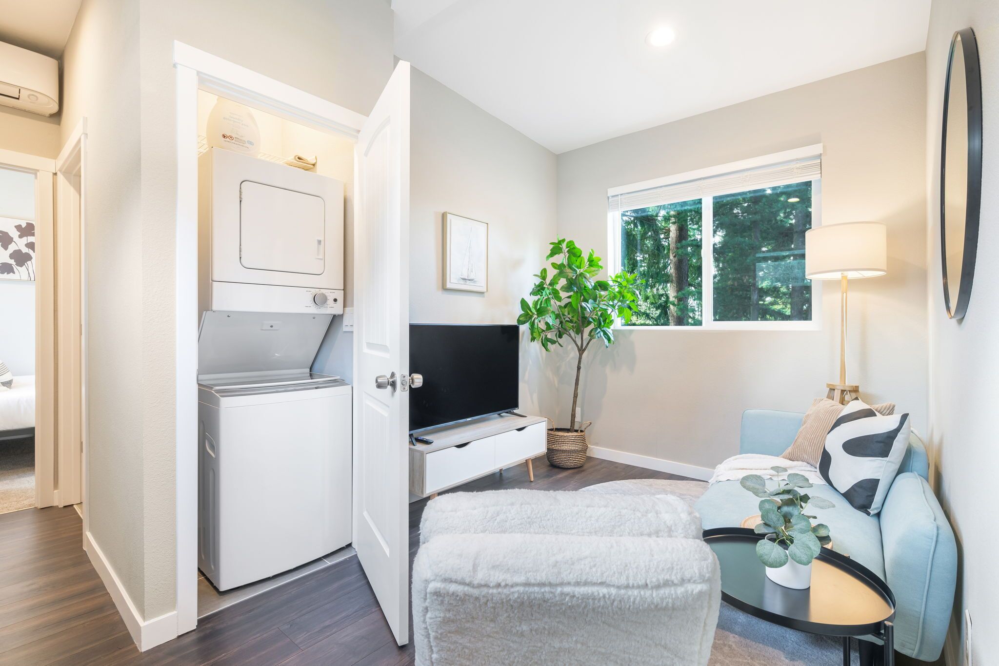A compact living space with a laundry area, a sofa, a coffee table, and a potted plant.