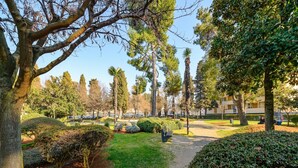 Un parc avec différentes espèces d’arbres, un sentier et un banc.