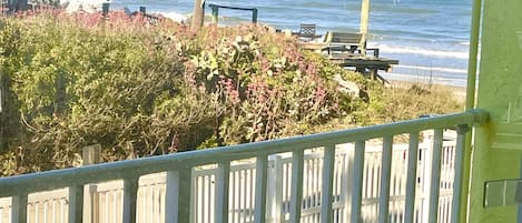 Departamento | Internet