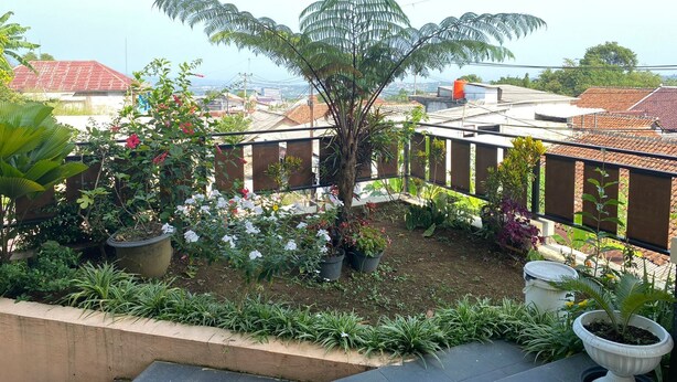 Un jardin sur le toit, agrémenté de diverses plantes et fleurs, entouré d’une clôture métallique et avec des immeubles d’habitation en arrière-plan.