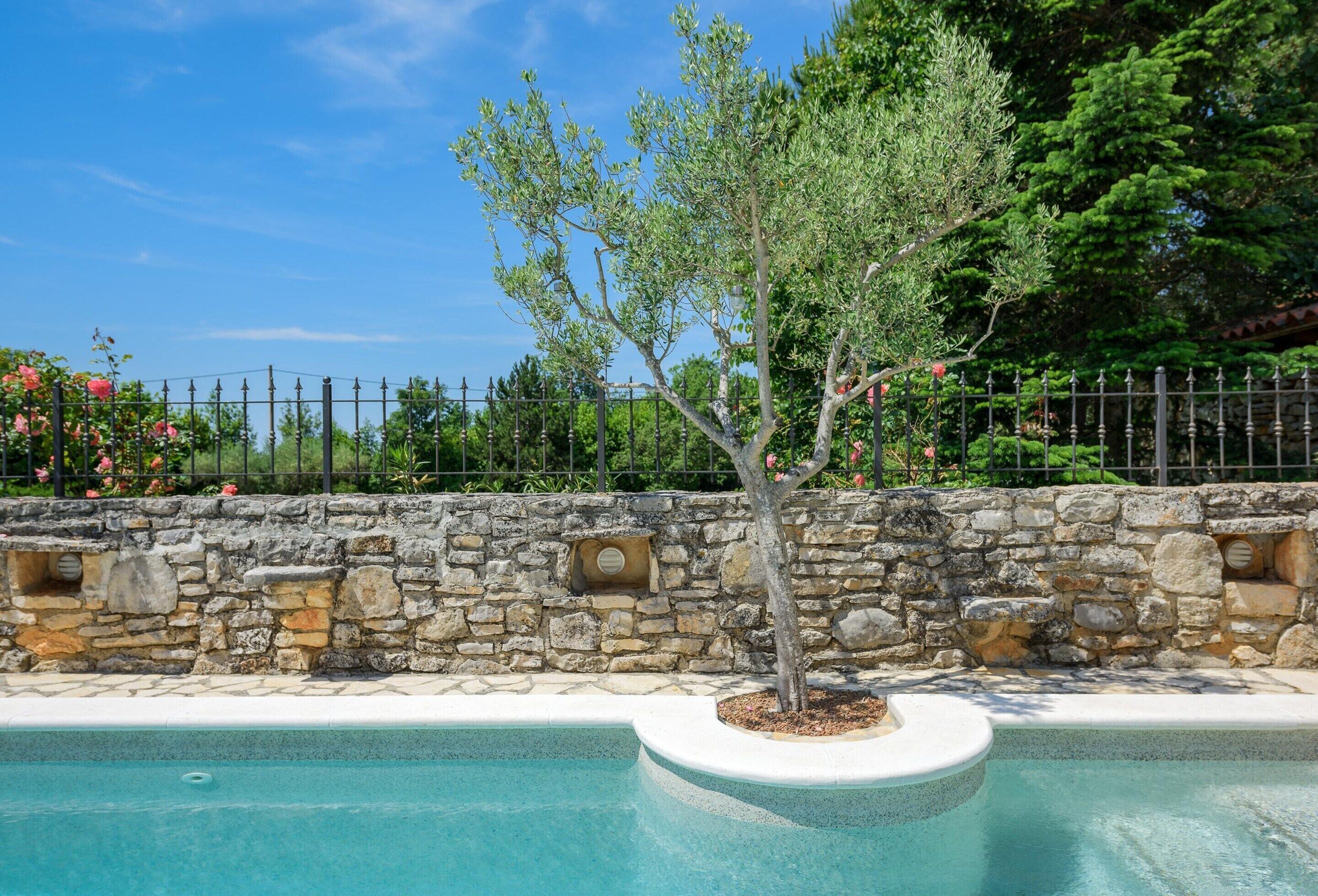 Una piscina con una pared de piedra y un árbol en el centro.