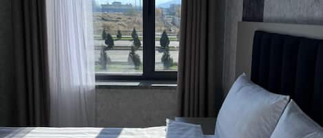 Standard Double Room, Mountain View | 1 bedroom, in-room safe, desk, laptop workspace