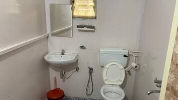 Ducha, toallas, jabón, papel higiénico