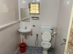 Shower, towels, soap, toilet paper