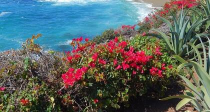 @Marbella Lane - Stylish Dream Home in RMV w/ Pool