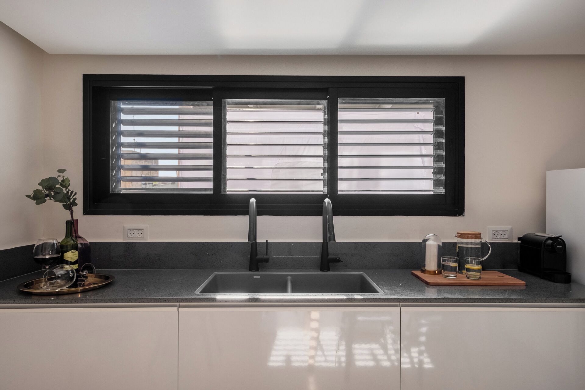 A kitchen with a double sink, a window with blinds, a potted plant, and a coffee maker.