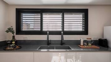 A kitchen with a double sink, a window with blinds, a potted plant, and a coffee maker.