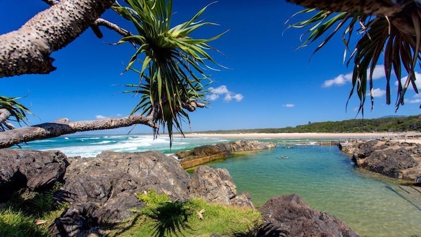 A rocky shoreline with clear water, a palm tree, and a view of the beach.