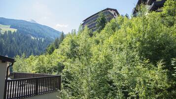 Apartament | Vista des de l'allotjament