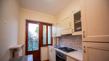 Vila Comfort, pemandangan danau | Dapur pribadi | Ketel listrik, pemanggang roti, dan lemari pembeku