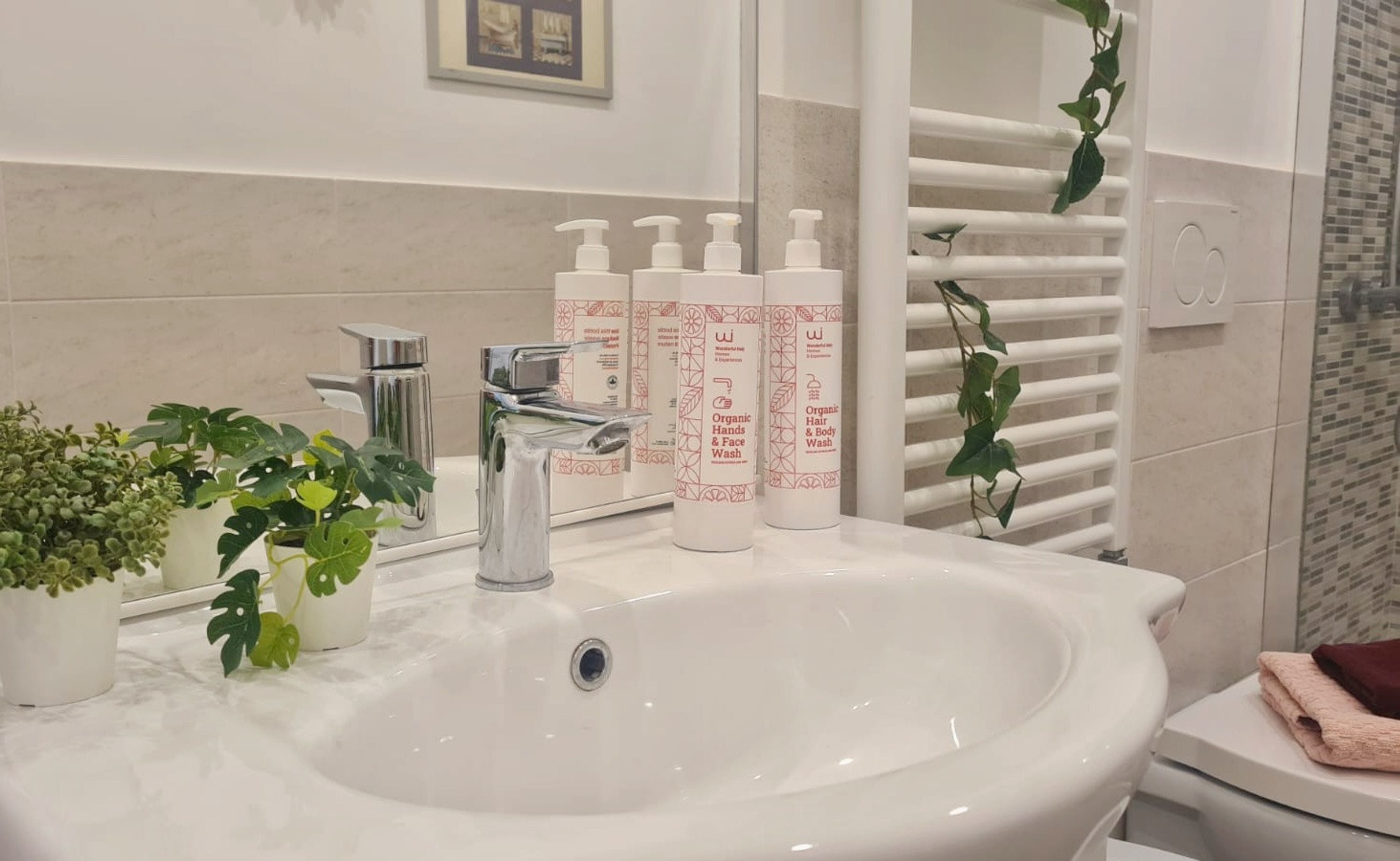 A bathroom with a white sink, chrome faucet, and a mirror. There are three bottles of organic hair and body wash on the counter.