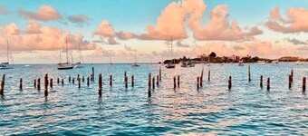 Cat O` Nine Tails - crows nest