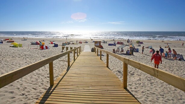 A wooden boardwalk leading to a beach with tents and people.