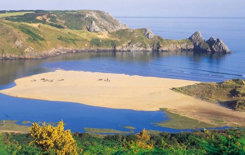 The Foragers Rest! An Adventurers Retreat with panoramic views— Pets welcome! 