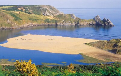 The Foragers Rest! An Adventurers Retreat with panoramic views— Pets welcome! 