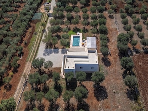 Vue aérienne d’une maison moderne dotée d’une piscine, entourée d’oliviers et bordée d’un chemin de terre.