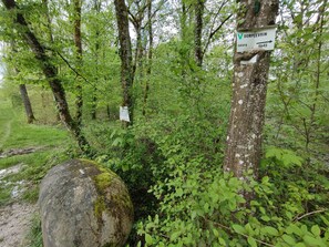 Overnattingsstedets uteområder