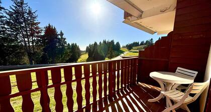 Studio skis aux pieds avec balcon ensoleillé - Animaux admis, parking inclus