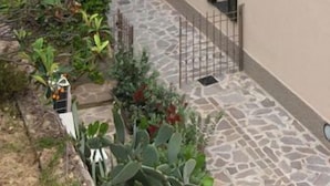 A narrow courtyard with a stone floor, surrounded by a building with multiple windows and a green climbing plant.