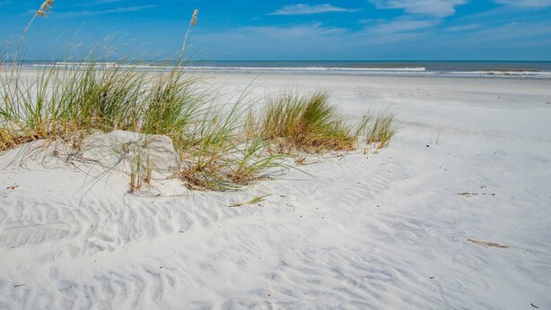 Une plage de sable avec de l’herbe et un ciel bleu dégagé.