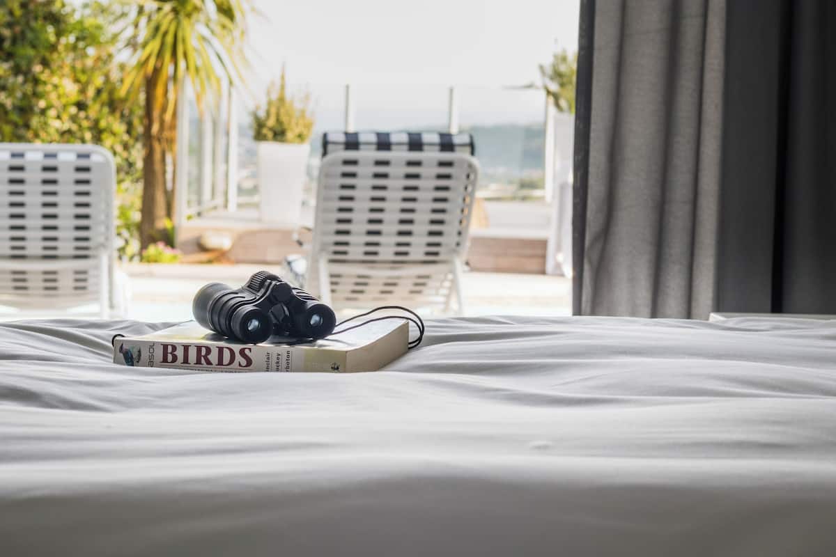 Twin Room, Ocean View | Desk, free WiFi