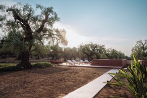 Outdoor pool, pool loungers