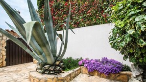 A stone patio with a large agave plant, purple flowers, and a white wall with climbing plants. - Pretty Apartment With Balcony (Porec)