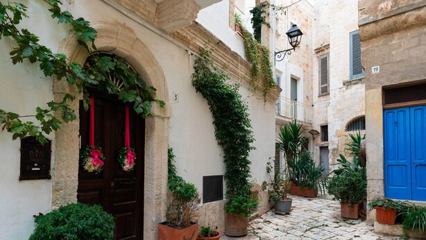 A narrow cobblestone street with buildings, potted plants, and a blue door. - Dimora Signorile by Wonderful Italy (Polignano a Mare)