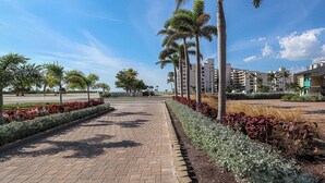 A paved walkway lined with palm trees and red flowering plants, leading to a modern building complex with multiple floors.