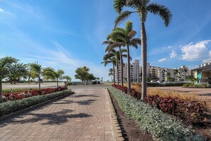 Un sendero empedrado bordeado de palmeras y plantas con flores rojas, que conduce a un moderno conjunto de edificios de varios pisos.